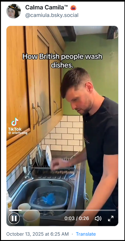 Post de Calma Camila™ (@camiula.bsky.social) com o video do Tiktok onde mostram como britânicos lavam a louça