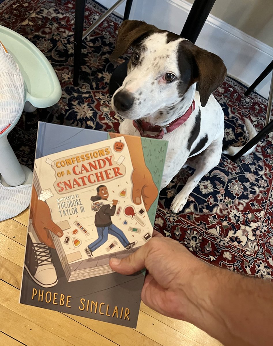 book held in front of small white dog with dark ears