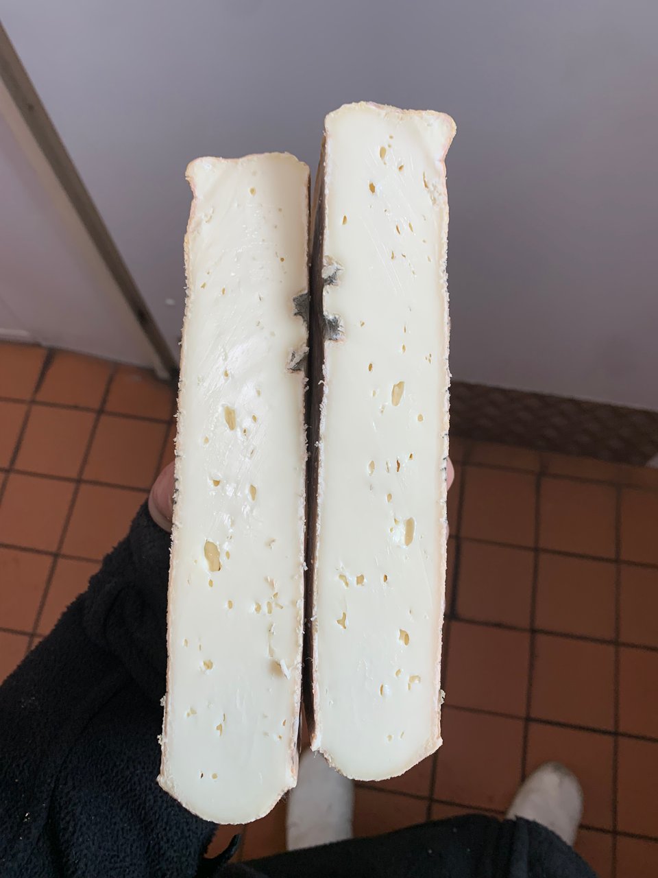 To look forward is to look back! 