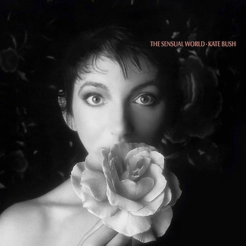 A black and white photo of Kate Bush, a white woman with dark hair and large eyes. She holds a rose in front of her mouth, obscuring it.