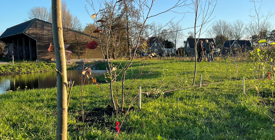 aanplant windhaag met Meer Bomen Nu