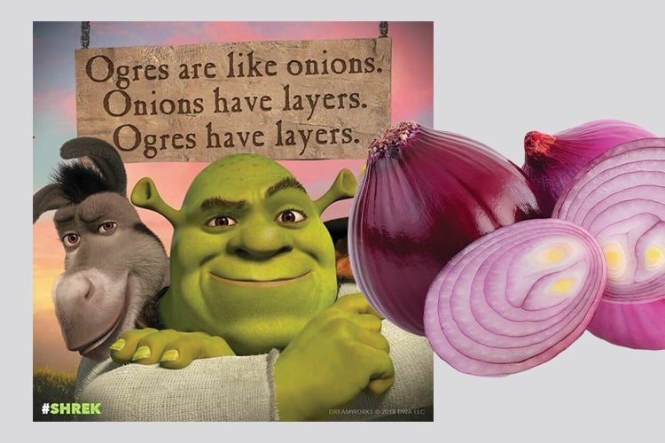 shrek meme about how ogres are like onions and onions and ogres have layers.
