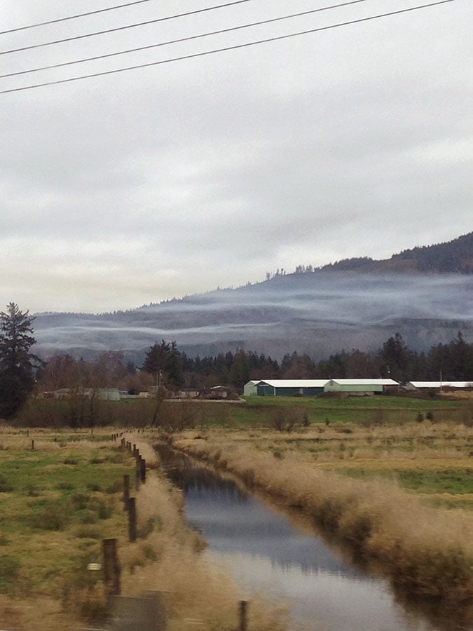 A photograph of an irrigation canal cutting through patchy green-and-brown winter fields, reflecting he wooded hill in the background and the thin layers of cloud and fog cutting across their dark bulk.