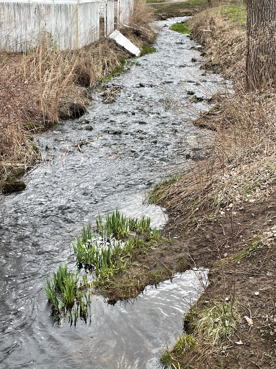 A brook as seen on a clear spring day, with a dilapidated structure in the background.