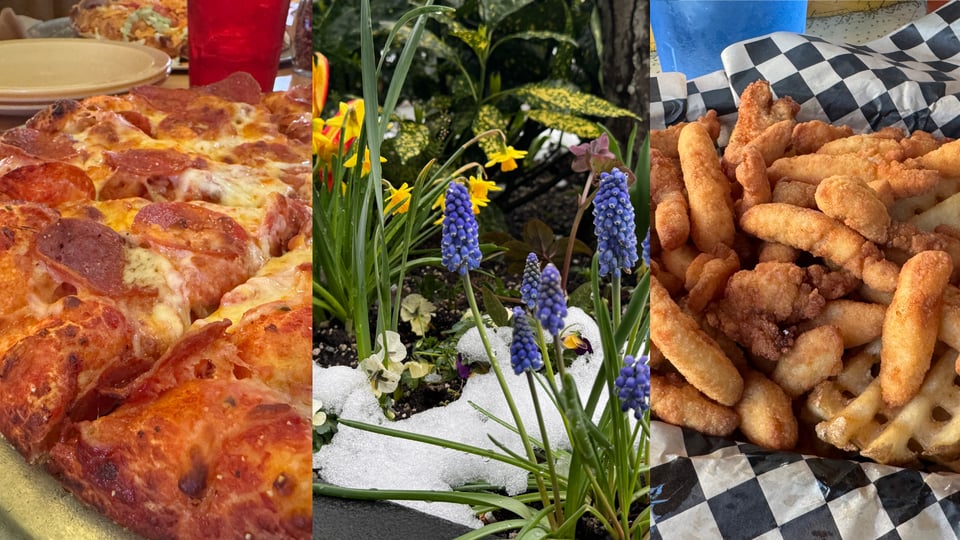Pizza, snow, and fried clams