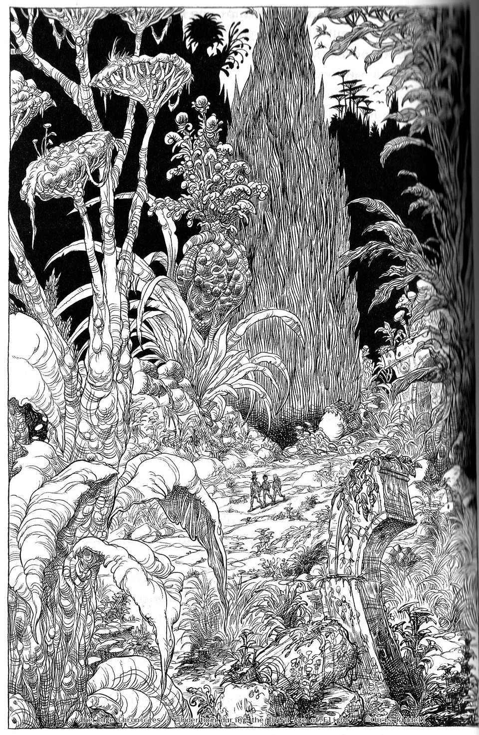 A gnarly, textured ink drawing of an overgrown fantasy forest with ruins poking out in the foreground. In the midground, tiny figures show just how large the scale is.