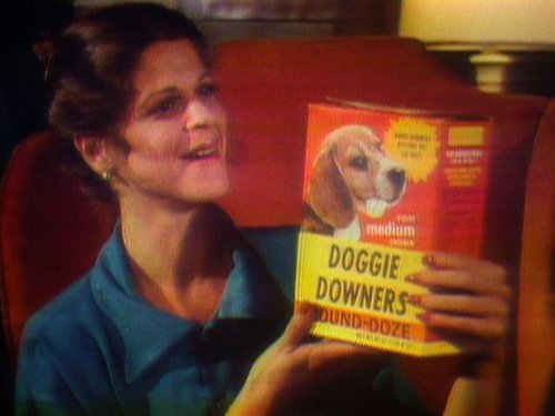 a woman holding a box of doggie dooners