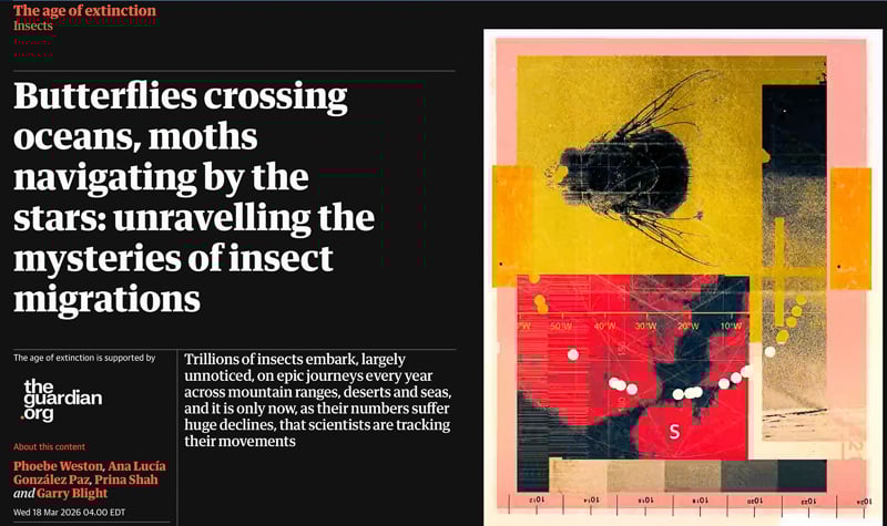 The Guardian, March 18, 2026. / Screenshot