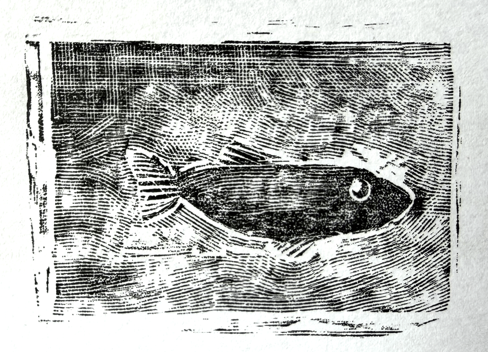 Engraving of a black fish surrounded by shading. The fish looks slightly self concious.