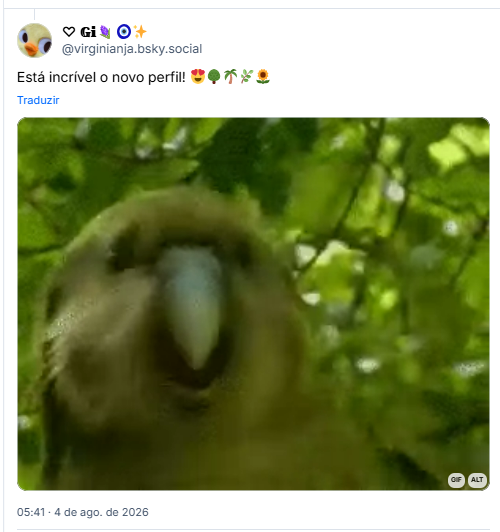 Post de ♡ 𝔾𝕚🪻🧿✨️ (@virginianja.bsky.social): Está incrível o novo perfil! 😍🌳🌴🌿🌻 (gif de ave balançando a cabeça animada)