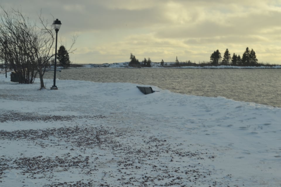 A sandy beach, covered in snow