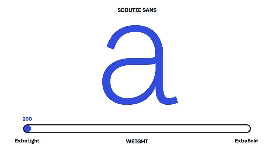 scoutie_960.jpg