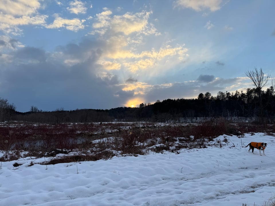 A cloudy blue and orange sunset on a snowy walking trail, with a dog in an orange coat at the edge of the shot.