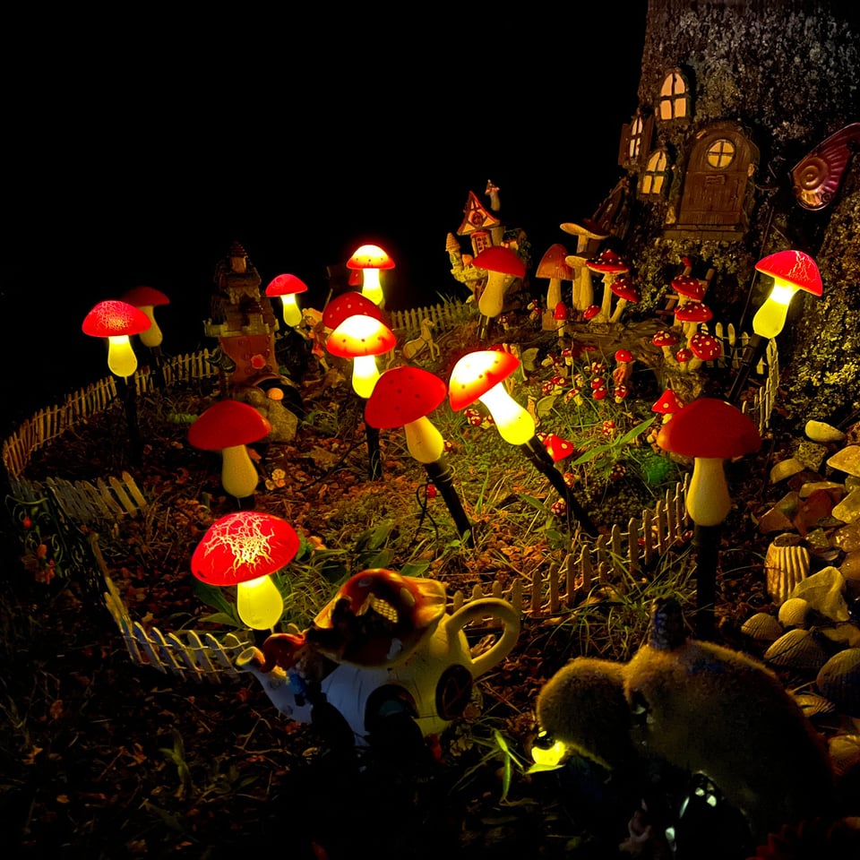 A fairy garden at night, with lit mushrooms, enchanted teapots and doorways to trees.