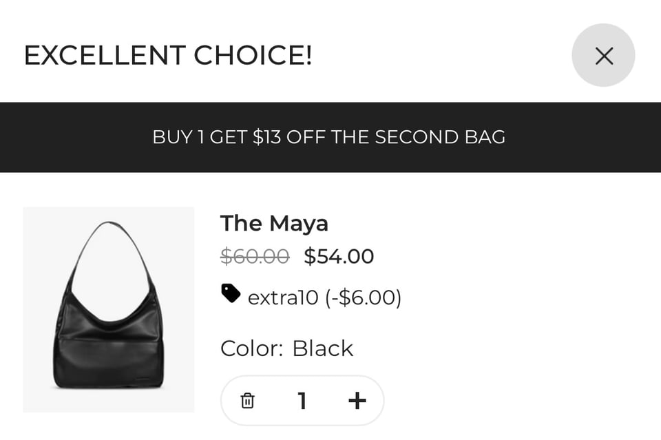 order screen for the bag showing that the price is $54 (originally $60)