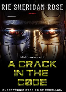 A Crack in the Code Cover