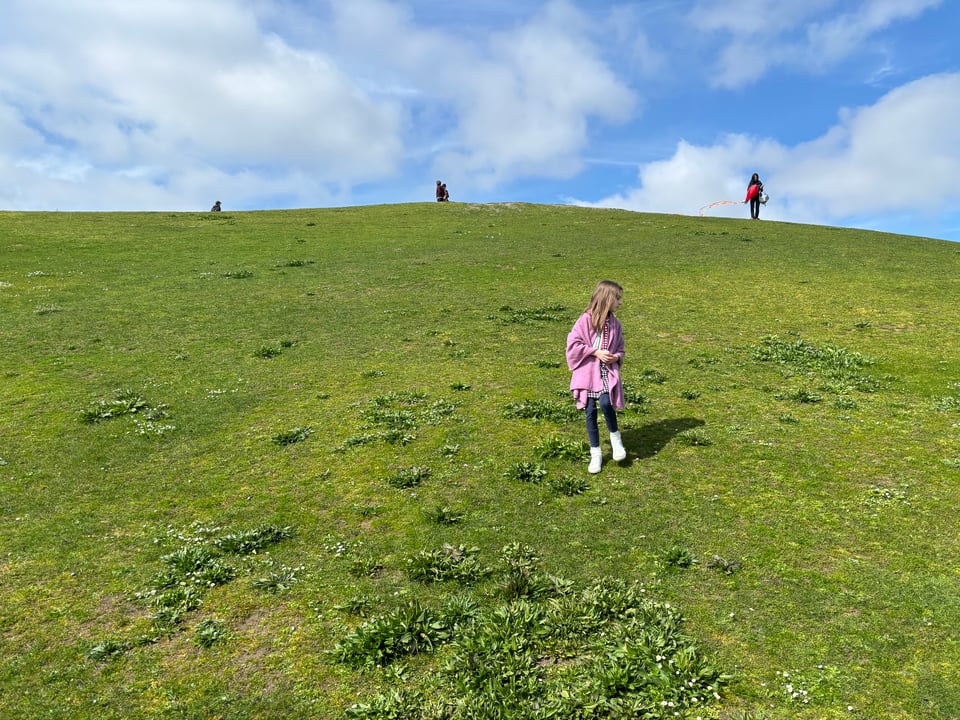 girl in field