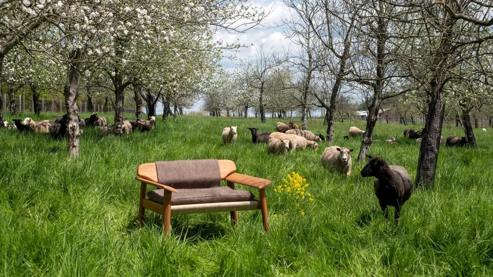[MM: Curated Insights 001]: The Dawn of a Regenerative, Contextual Era