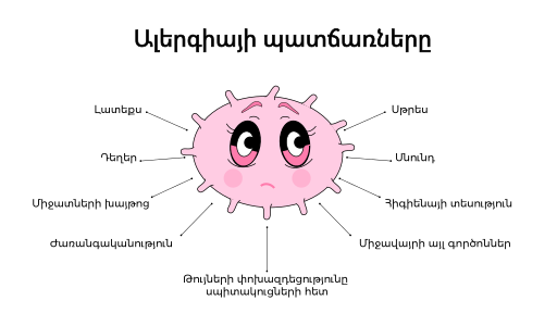 a graphic of a piece of pollen with causes of allergy labeled in armenian