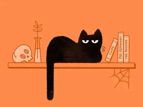 A cute black cat sits on a spooky shelf and yawns