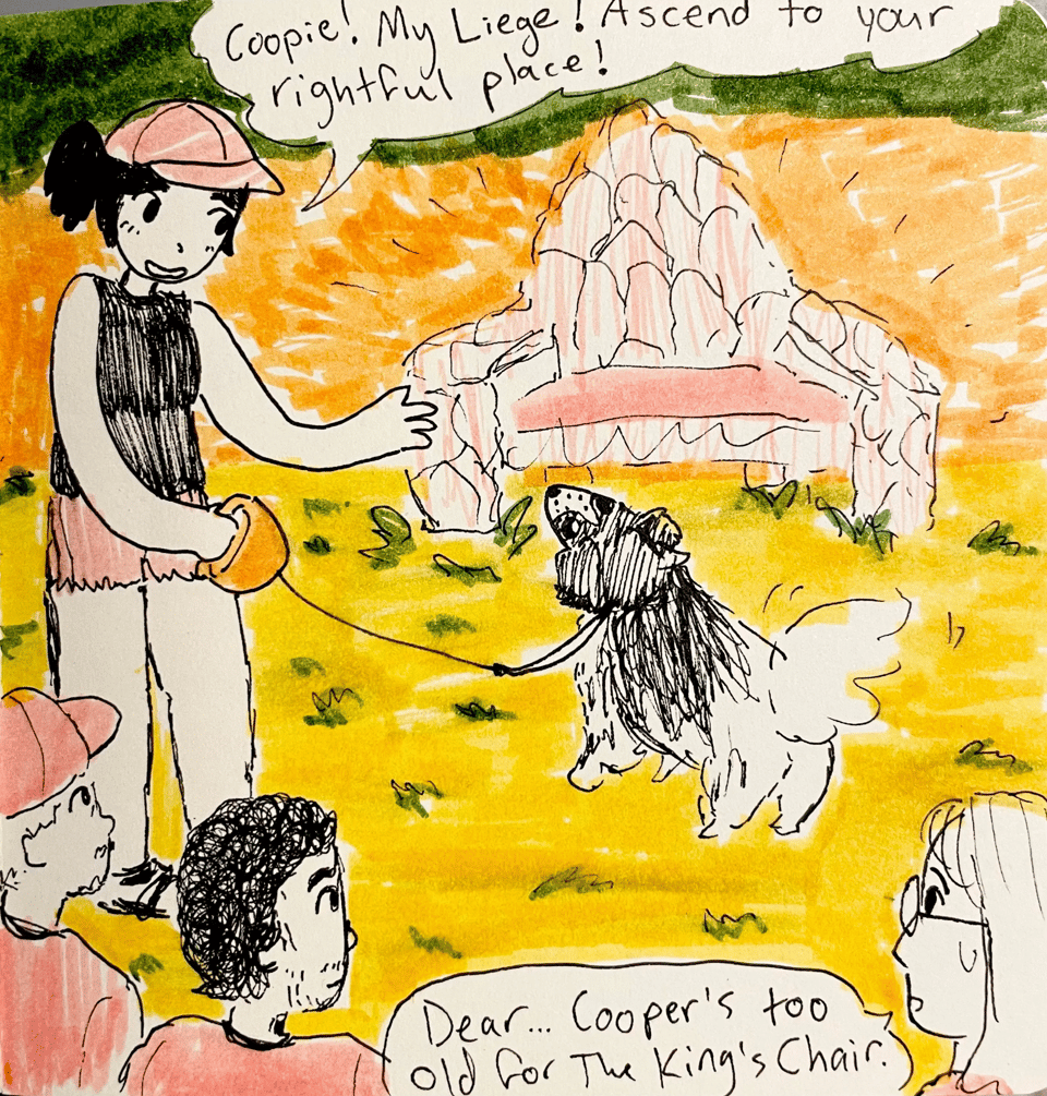 boy king coopie 2