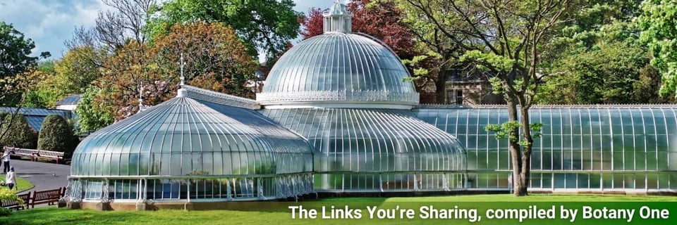 Glasgow Botanic Garden