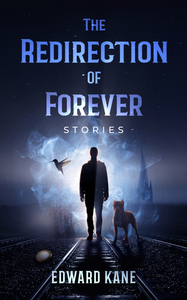 Cover art for THE REDIRECTION OF FOREVER by Edward Kane