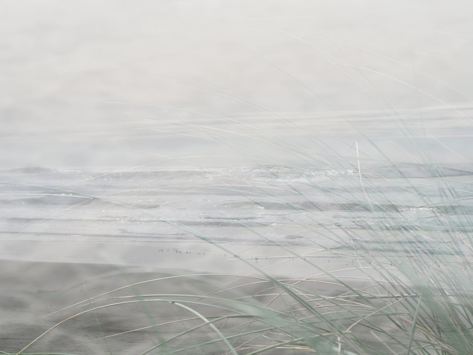 The Near Future (events, science fiction, hope, etc.)