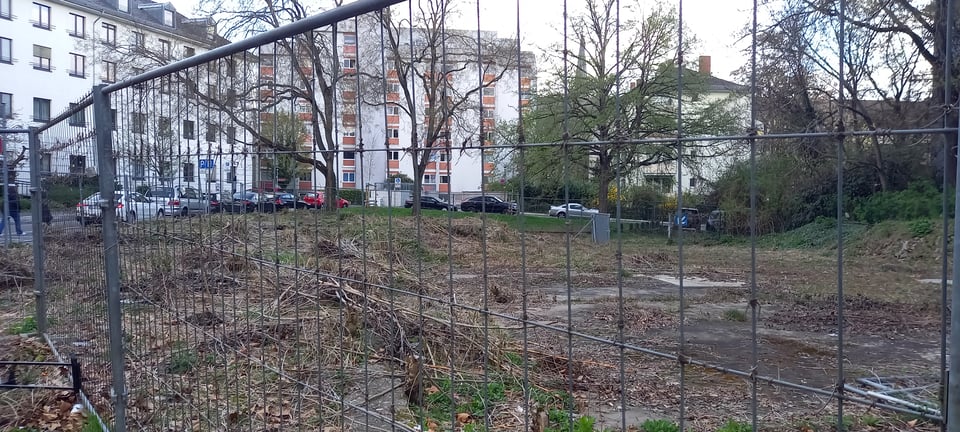 photograph of an empty lot in my area. It looks very similar to how it looked in early March, but here and there you can see signs of greener plants coming up from the ground.