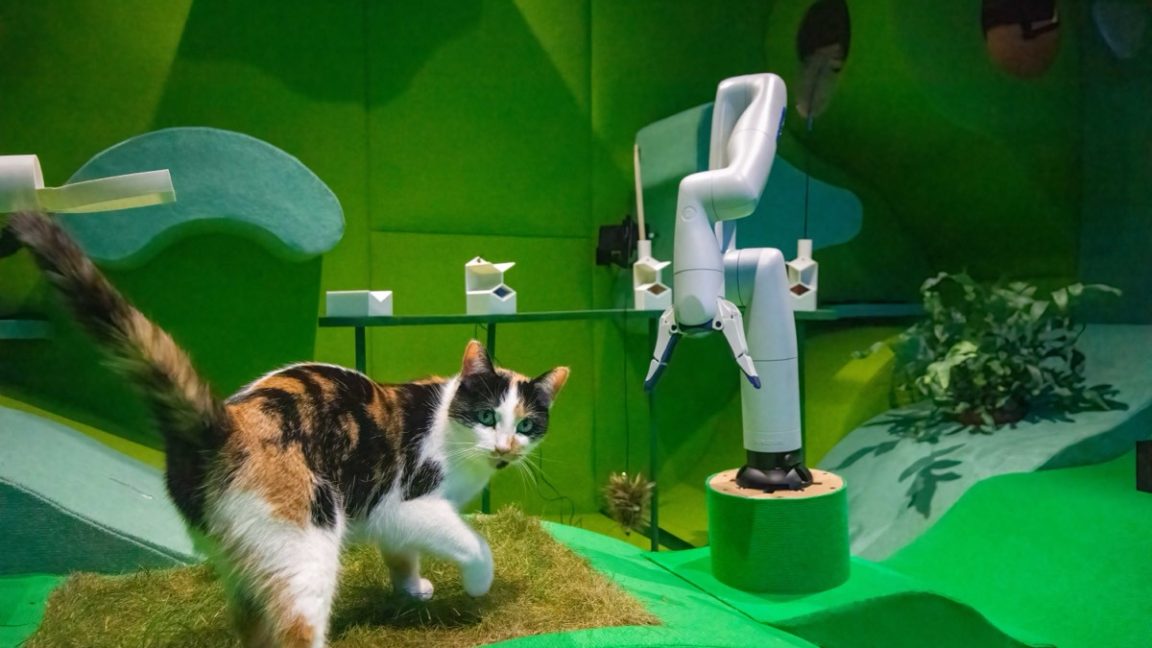 🤪 Wacky Wednesday for 2025-01-01