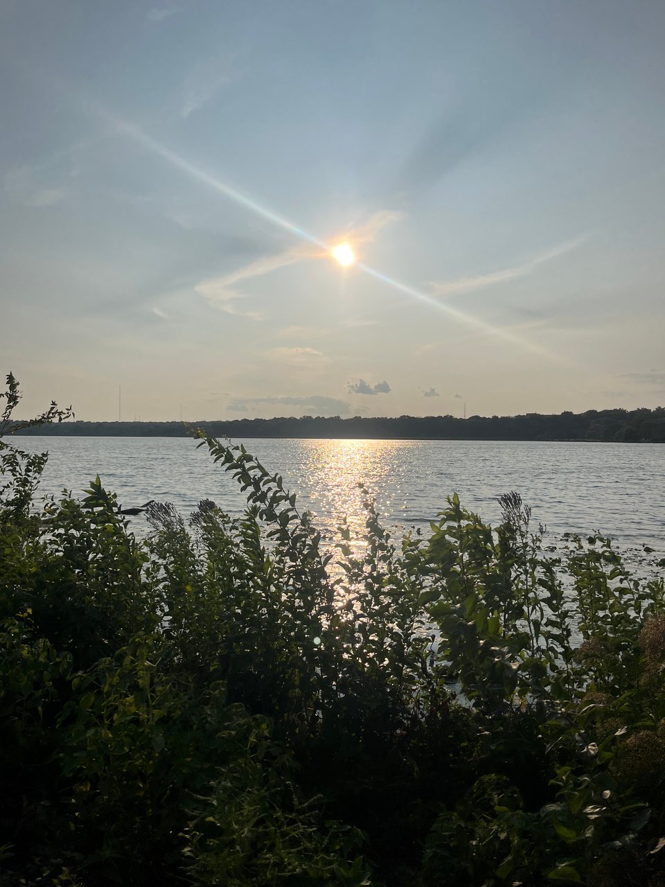 afternoon sun over the lake with dark green foliage in the foreground
