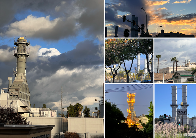 a collage of photos I've taken