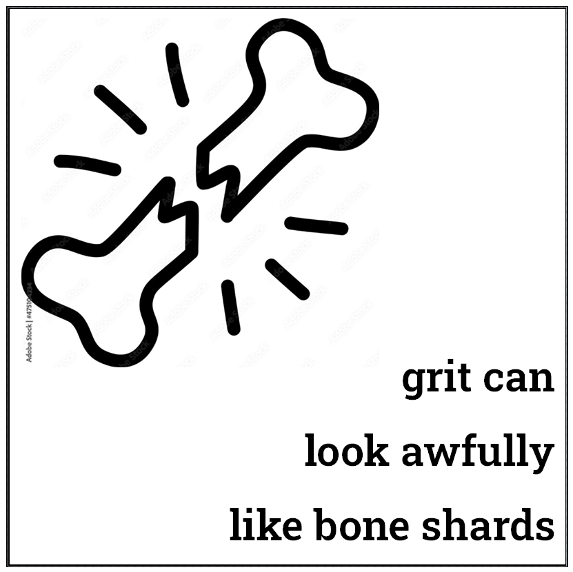 A mock up of a mixtape cover with an Adobe stock image of a broken bone and the text "grit can look awfully like bone shards"
