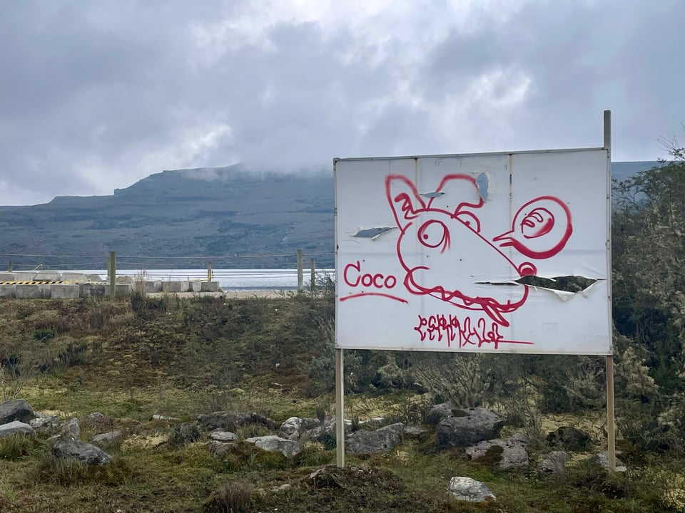 A spray painted image of Coco and there's a speech bubble with a picture of bread.
