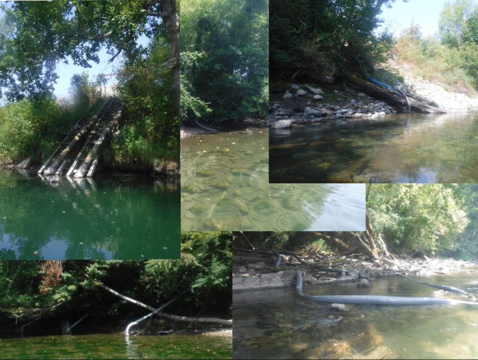 Pompages directs dans le Gave d'Oloron, entre le couloir d'Orin et la plage de Dogne..