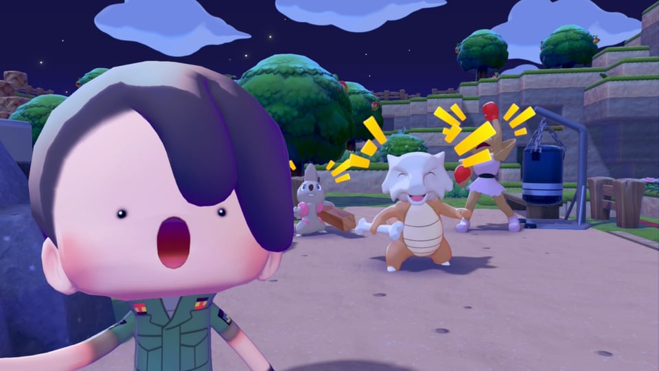a character in a pokemon game
