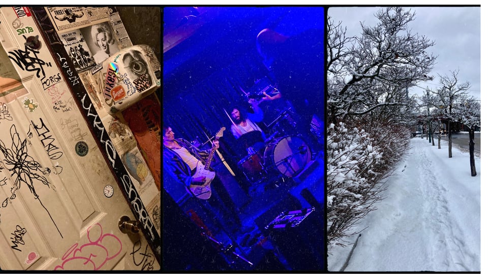 grid with three photos. L-R: interior of a bathroom covered in stickers and graffiti; the band Hush playing under blue light at the Avalon Lounge; a snowy sidewalk and trees along a city street.