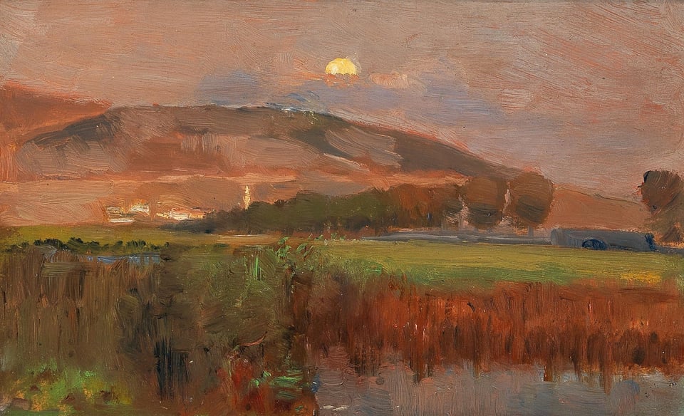 The evening moon rising over a field