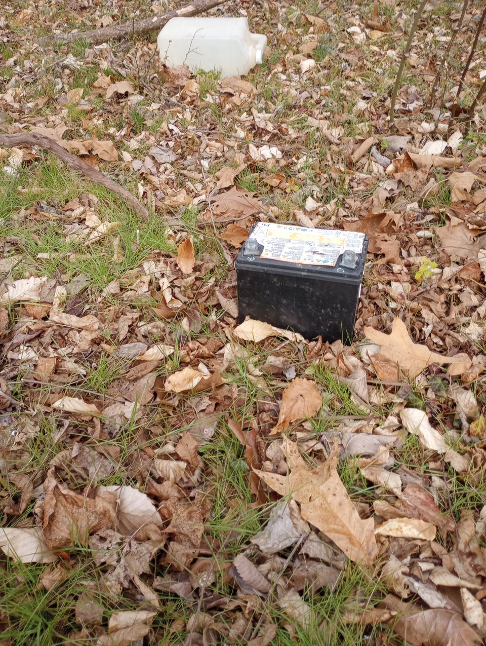 West Hillsborough Big Creek Clean Up