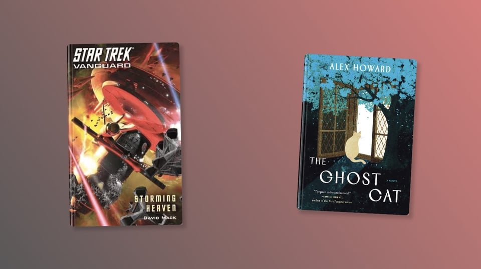 The two covers for the two books I read this month: Star Trek Vanguard Storming Heaven and The Ghost Cat.
