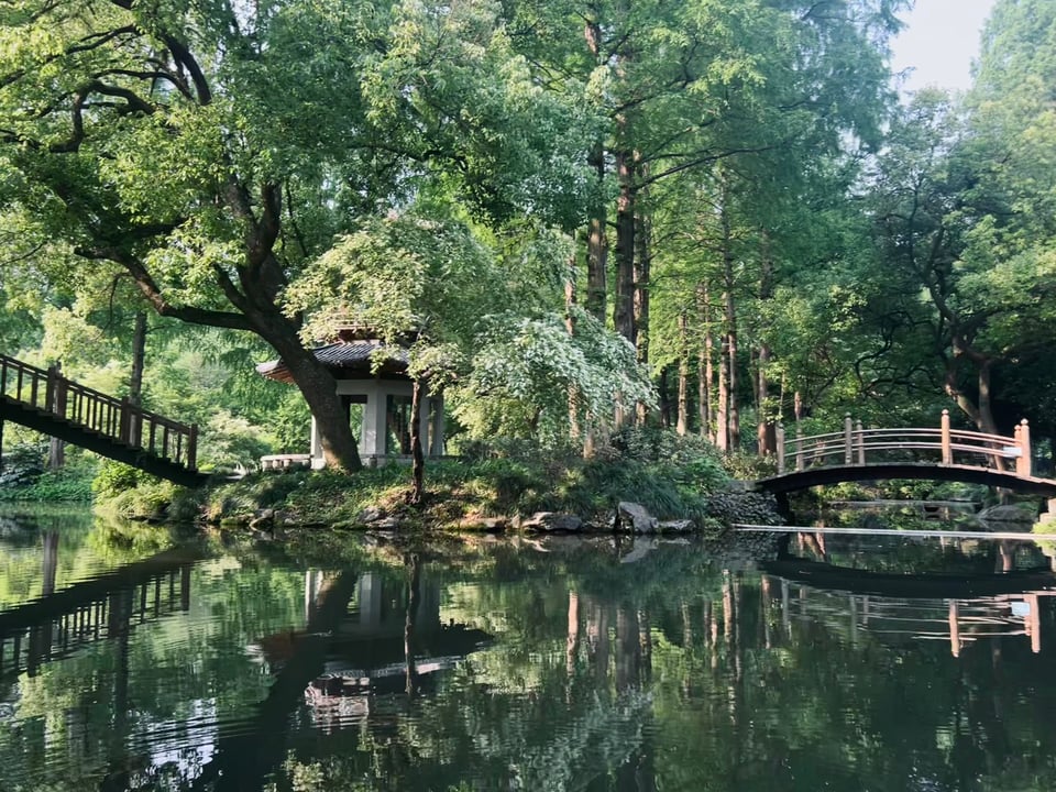 reflection of lake and willow trees in hangzhou china