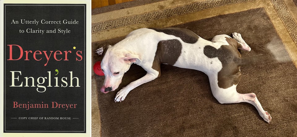 Two photos: left is the cover of DREYER’S ENGLISH; right is a photo of a dog licking her nose, playing with a red ball and wagging her tail so hard it’s a blur