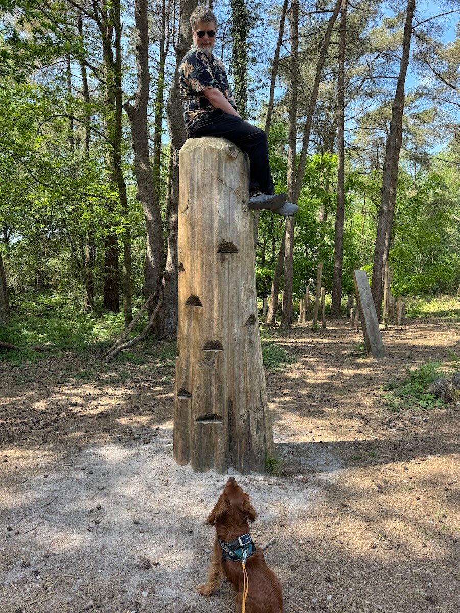 Me stuck up a tree with Radio looking at me quizzically.