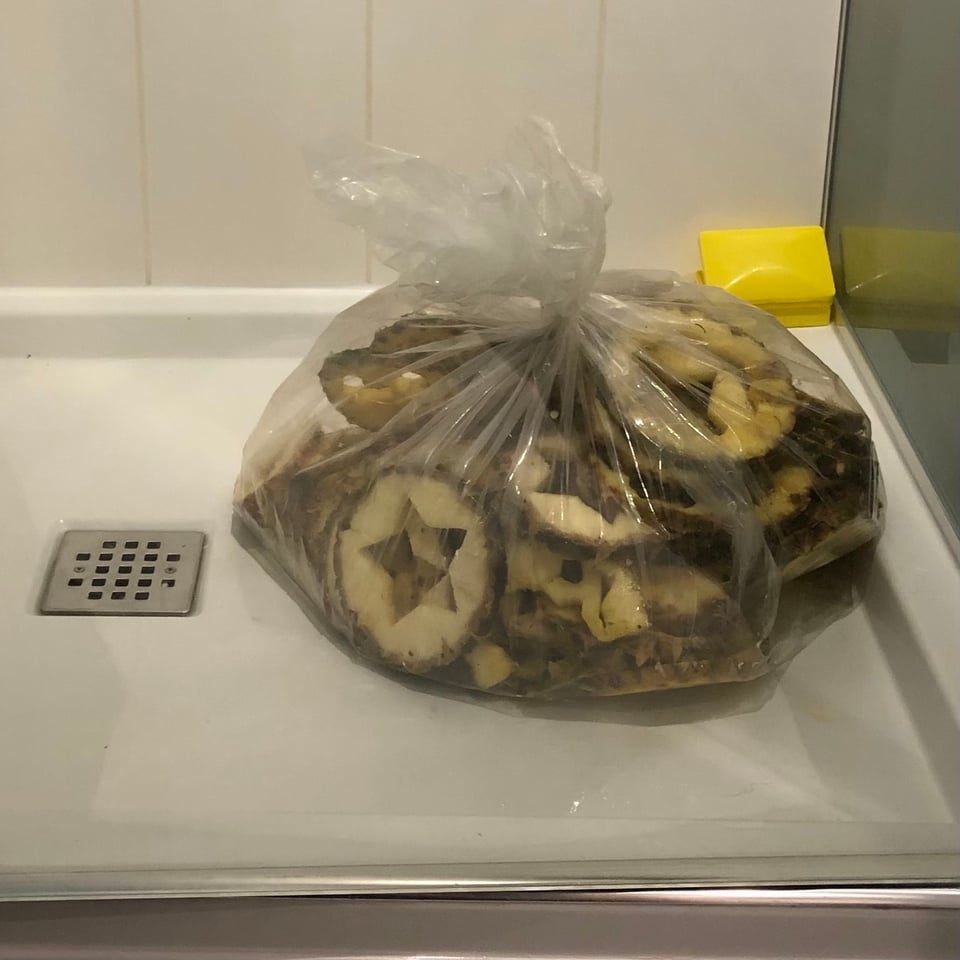 Some very grey looking pineapple in a clear garbage back in a shower.