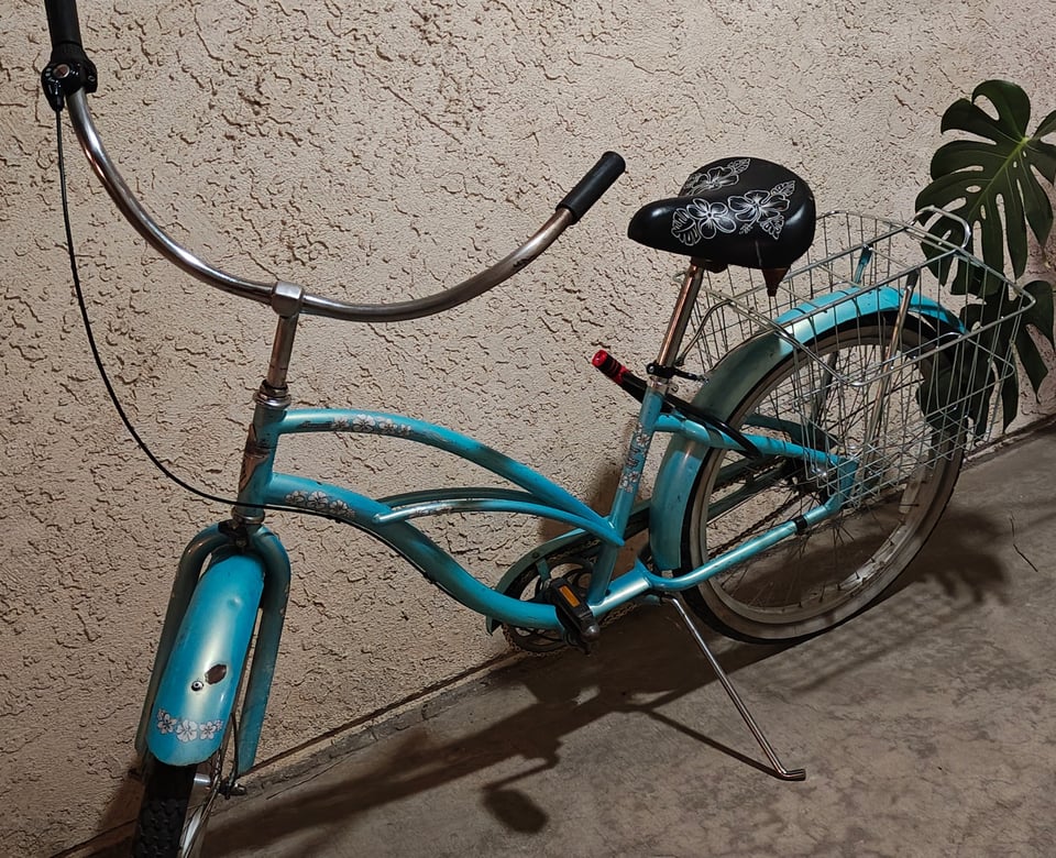 A somewhat battered light-blue cruising bike with swept-back handle bars. The bike is decorated with white flowers on the frame and fenders. It has wire basket rear paniers, and is parked on a concrete floor in front of a beige stucco exterior wall. The photo was taken at night under artificial light. On the far right of the image, two large leaves of a potted plant are visible.