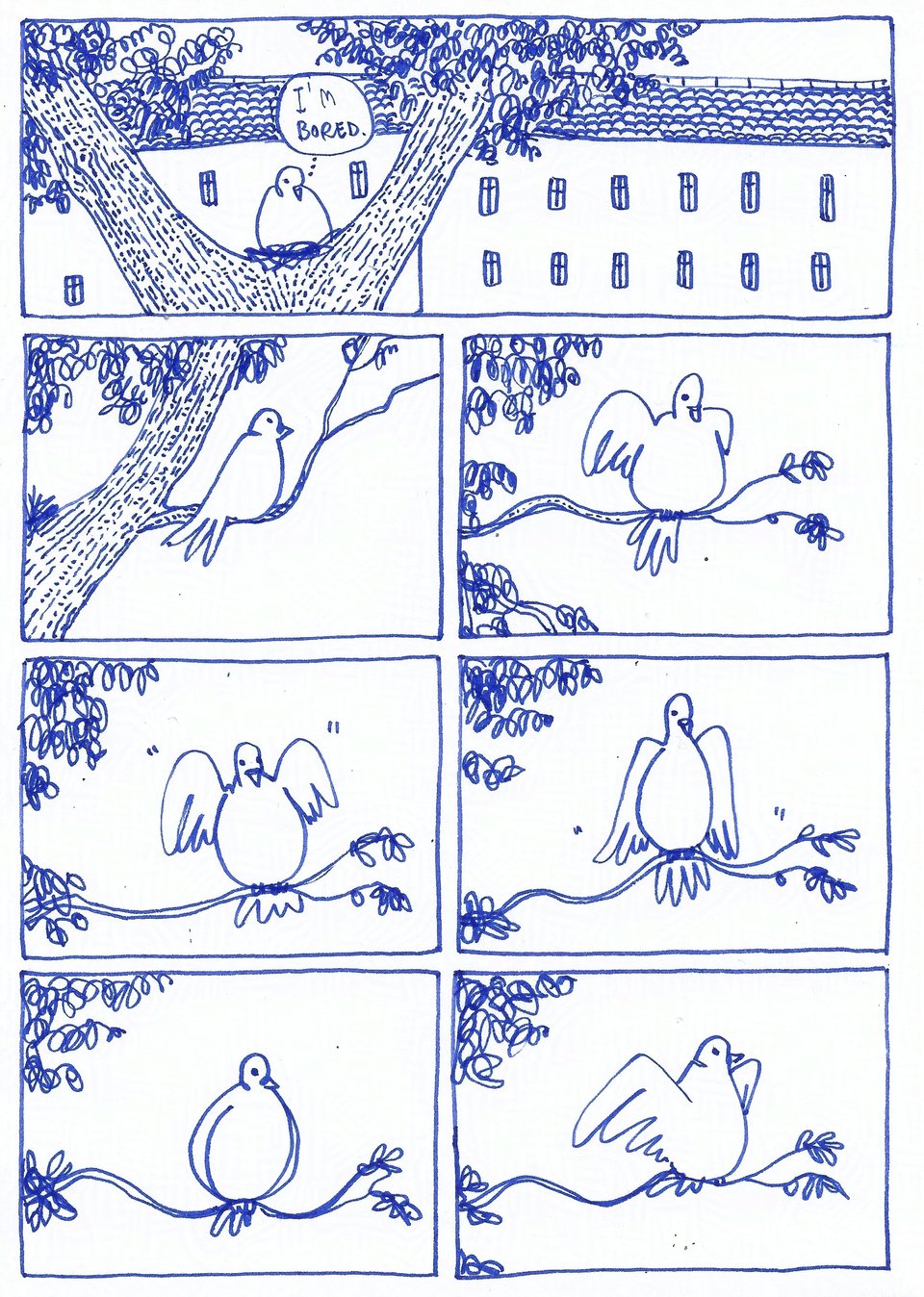 A comic page with blue ink of a pigeon who leaves the nest and bounces on branches