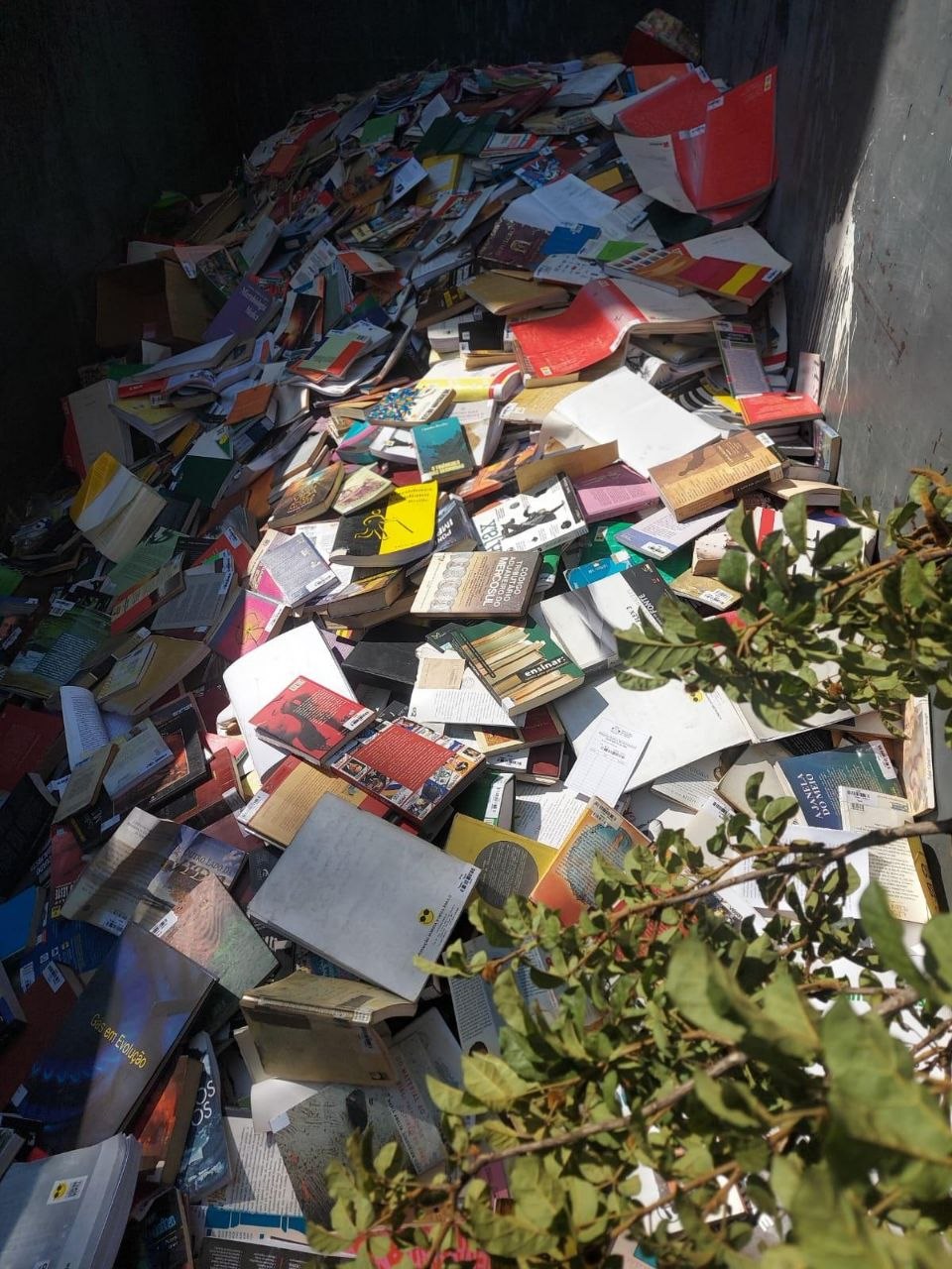 Uma pilha enorme e bagunçada de livros descartados de qualquer forma em Osasco no último dia 24 de abril.