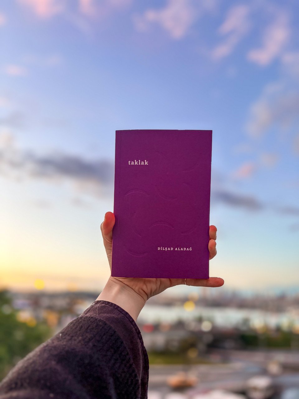 a hand holding a purple book against the sunset