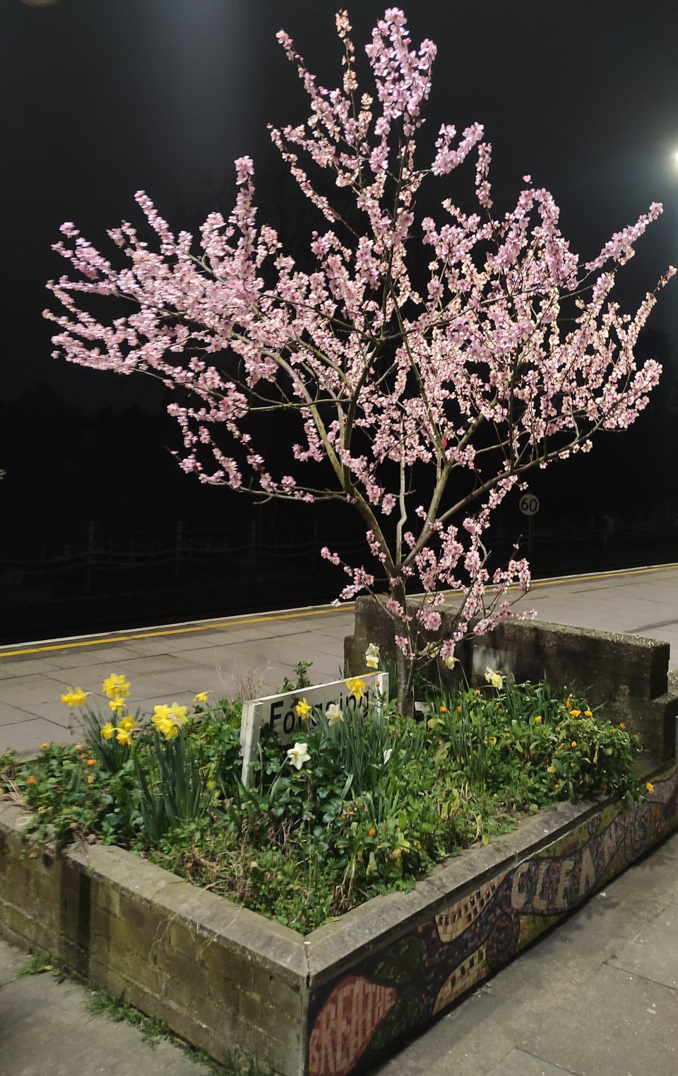 EN 78: "Spring's here"