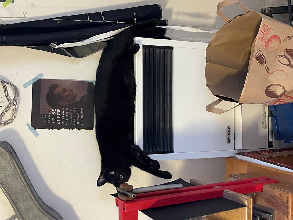 Satisfaction Brought Her Back 